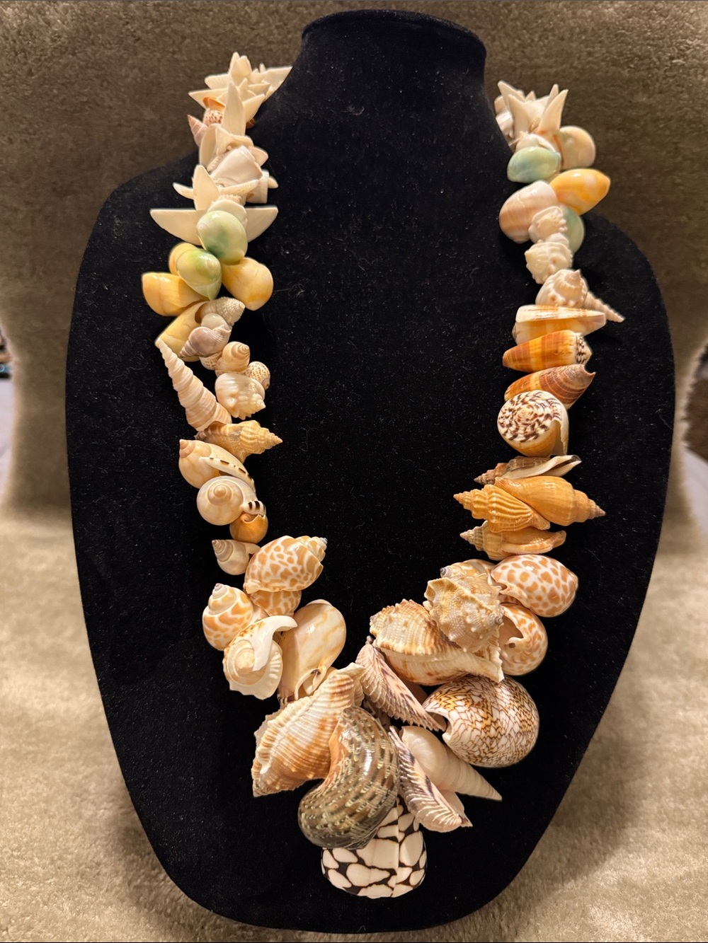 Large Shell Necklace